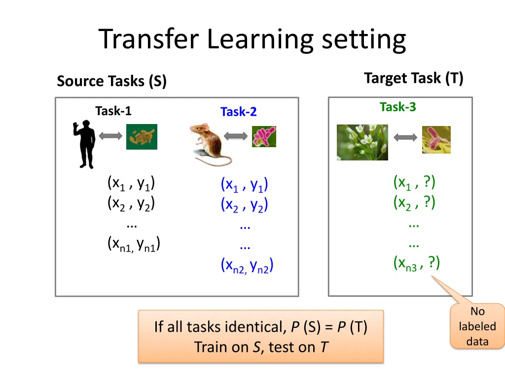 transfer learning setting