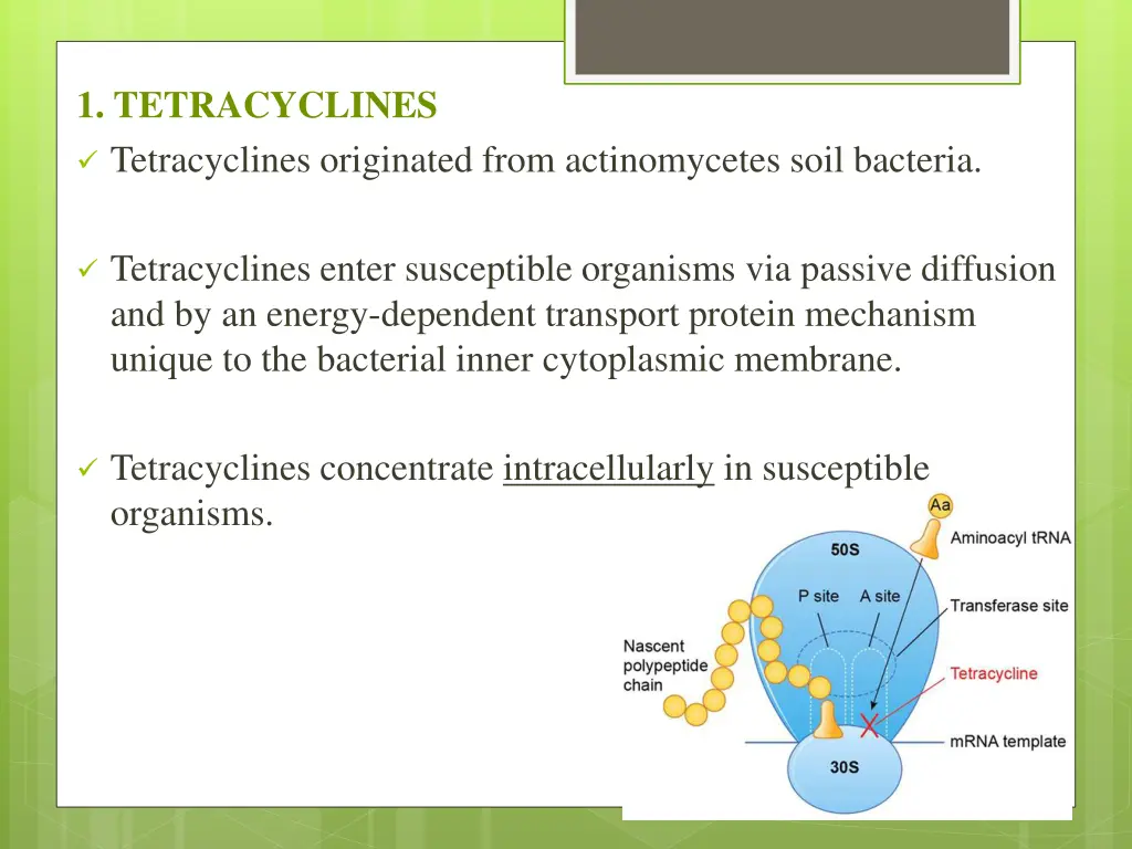 1 tetracyclines tetracyclines originated from