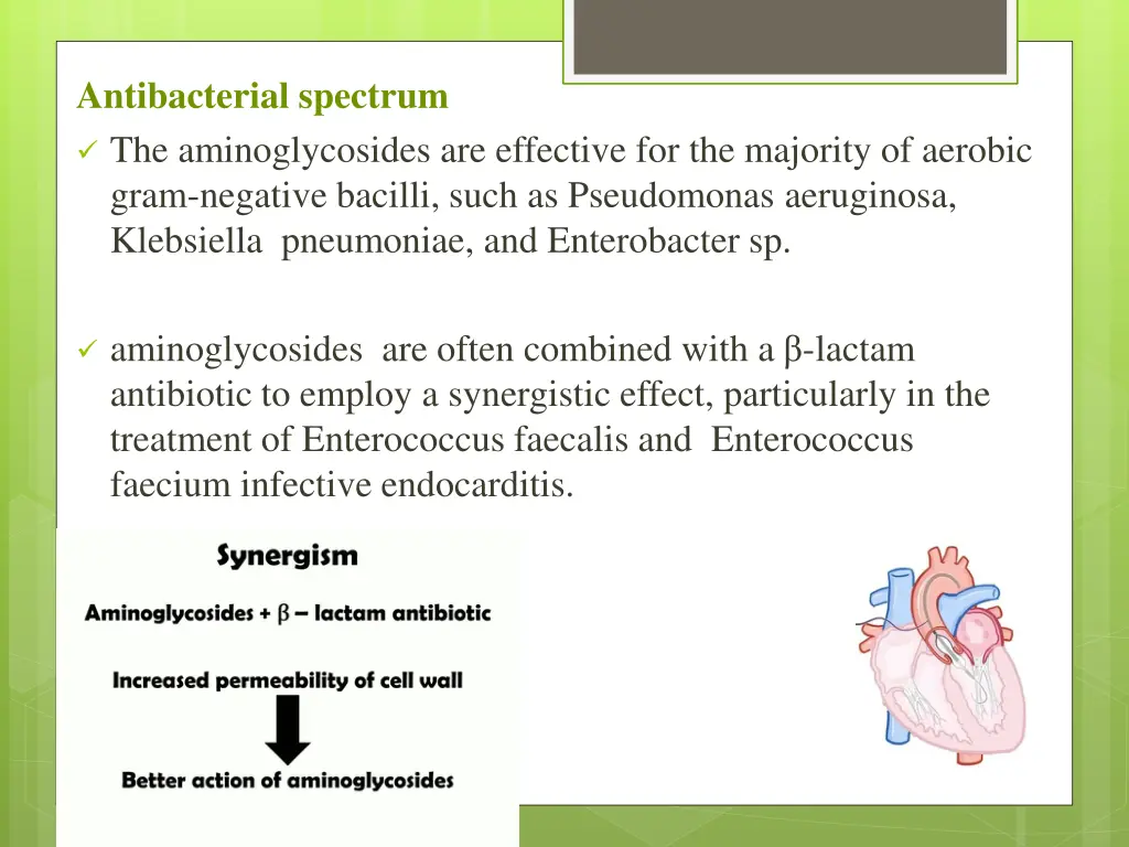 antibacterial spectrum the aminoglycosides
