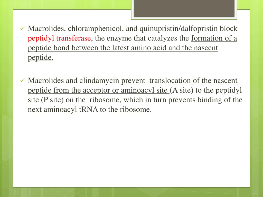 macrolides chloramphenicol and quinupristin
