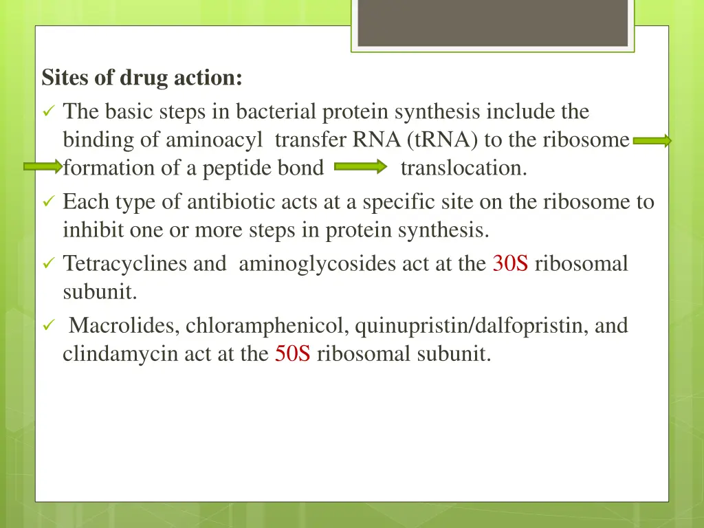 sites of drug action the basic steps in bacterial