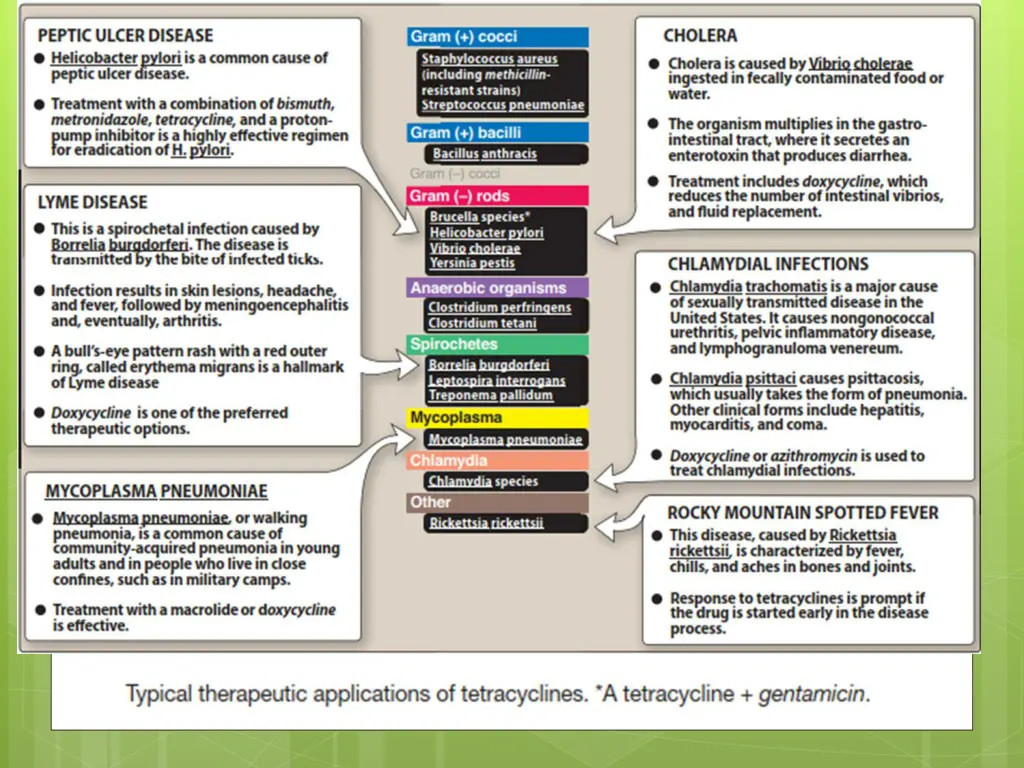 slide14