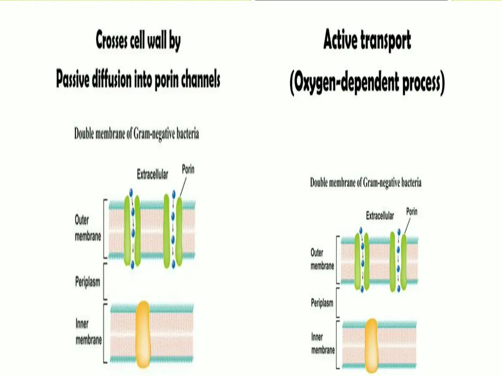 slide29