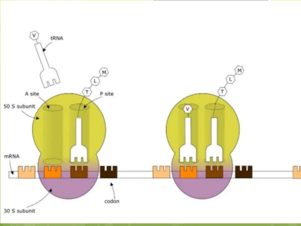 slide7