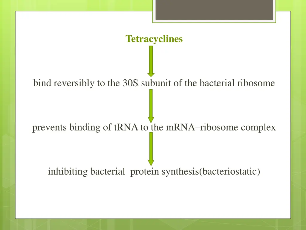 tetracyclines