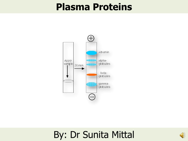 plasma proteins