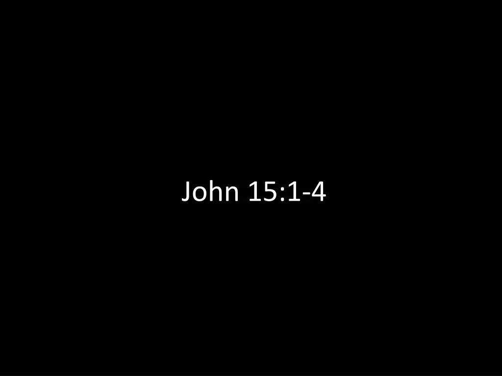 john 15 1 4