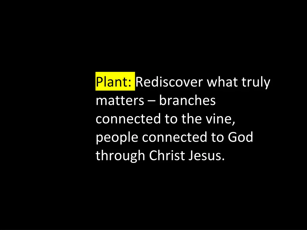 plant rediscover what truly matters branches