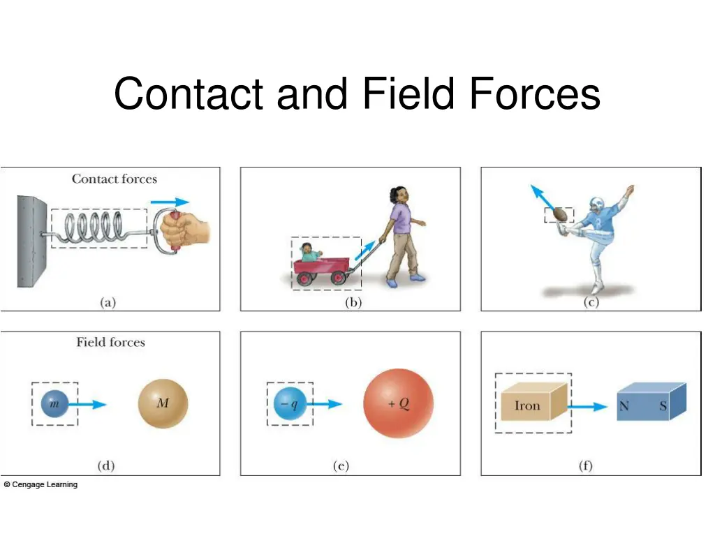 contact and field forces