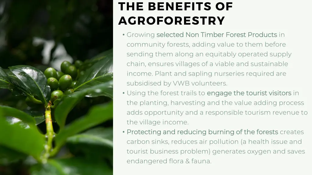 the benefits of agroforestry