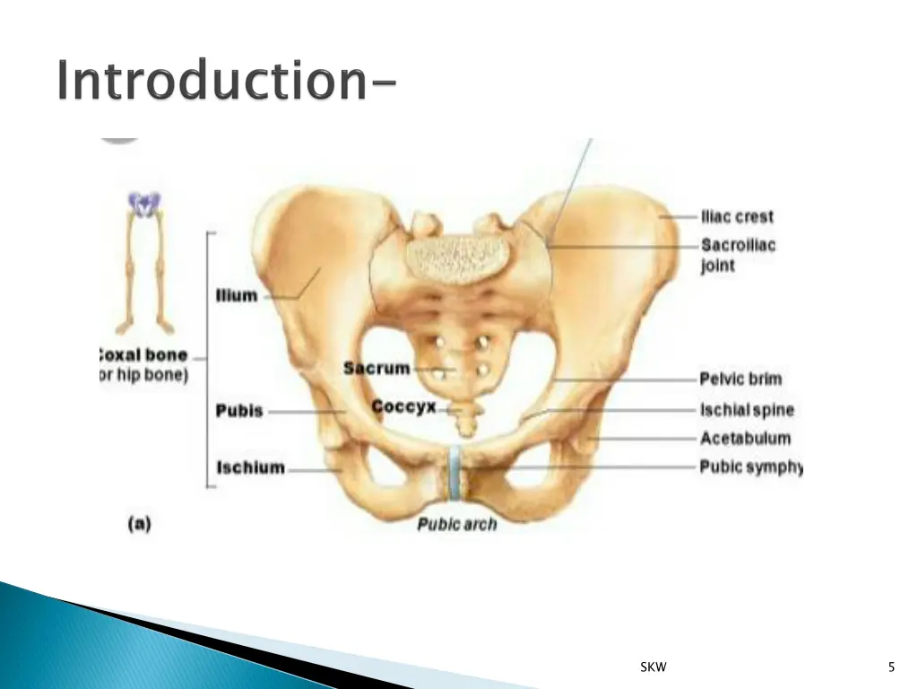 slide5