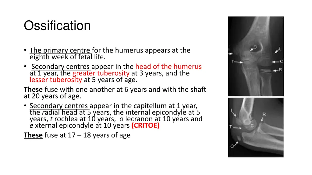 ossification