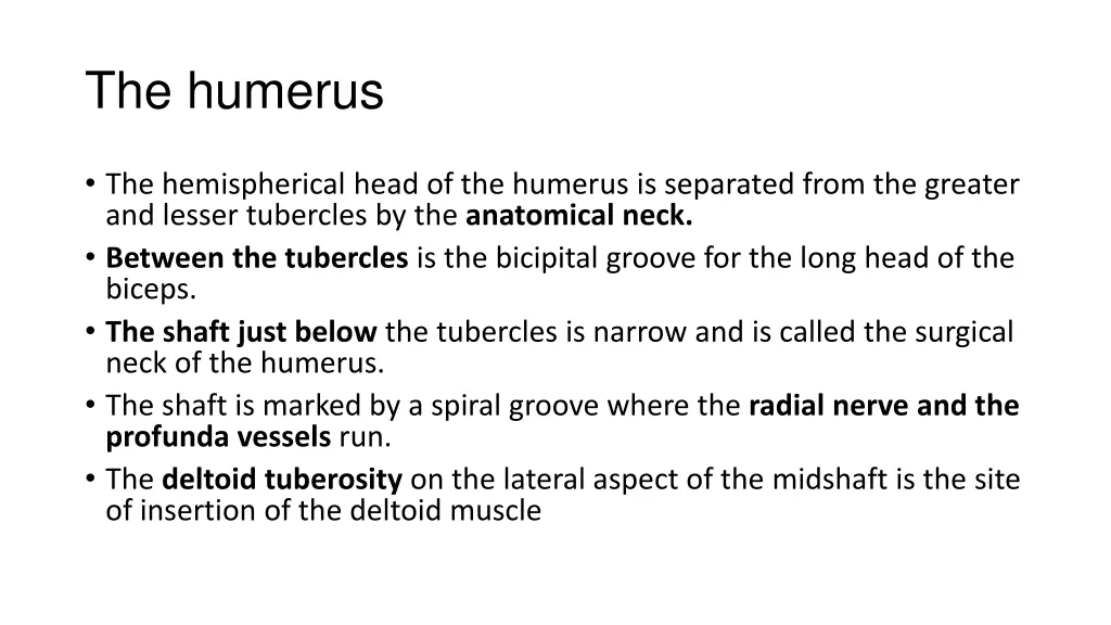 the humerus