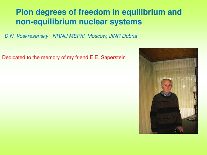 pion degrees of freedom in equilibrium