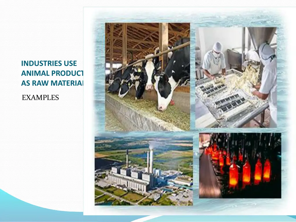 industries use animal product as raw material
