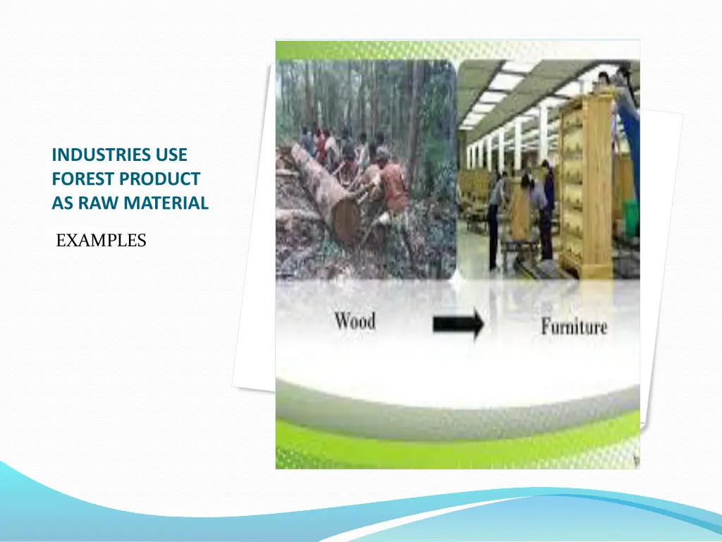 industries use forest product as raw material