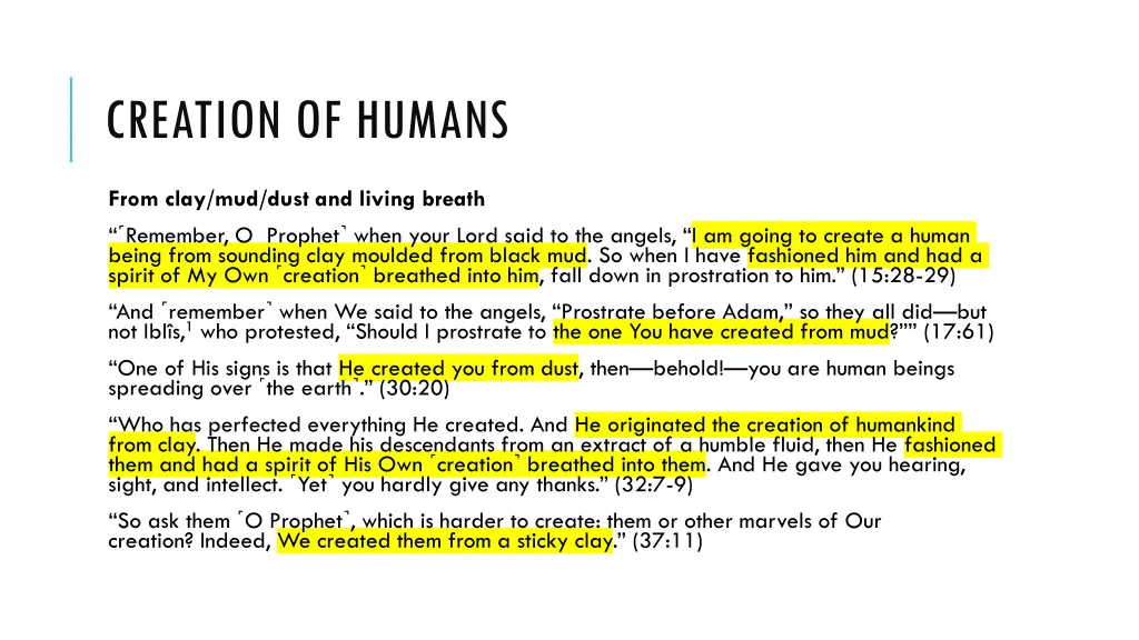 creation of humans