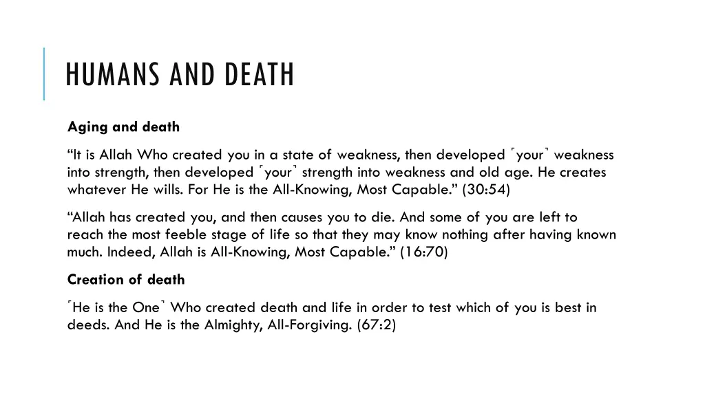 humans and death 1