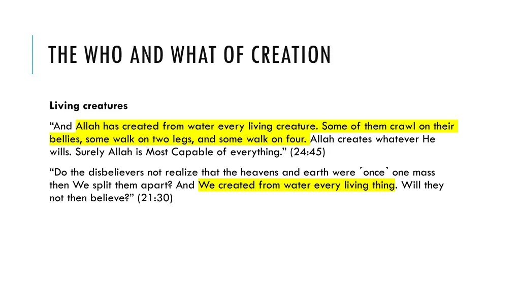 the who and what of creation 8