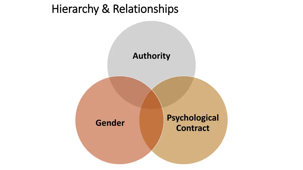hierarchy relationships hierarchy relationships