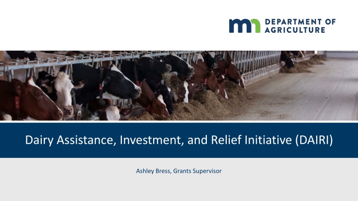dairy assistance investment and relief initiative