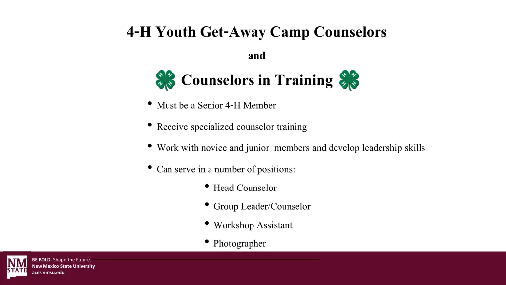 4 h youth get away camp counselors and counselors