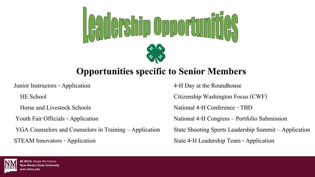 leadership opportunities 1