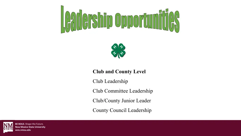 leadership opportunities
