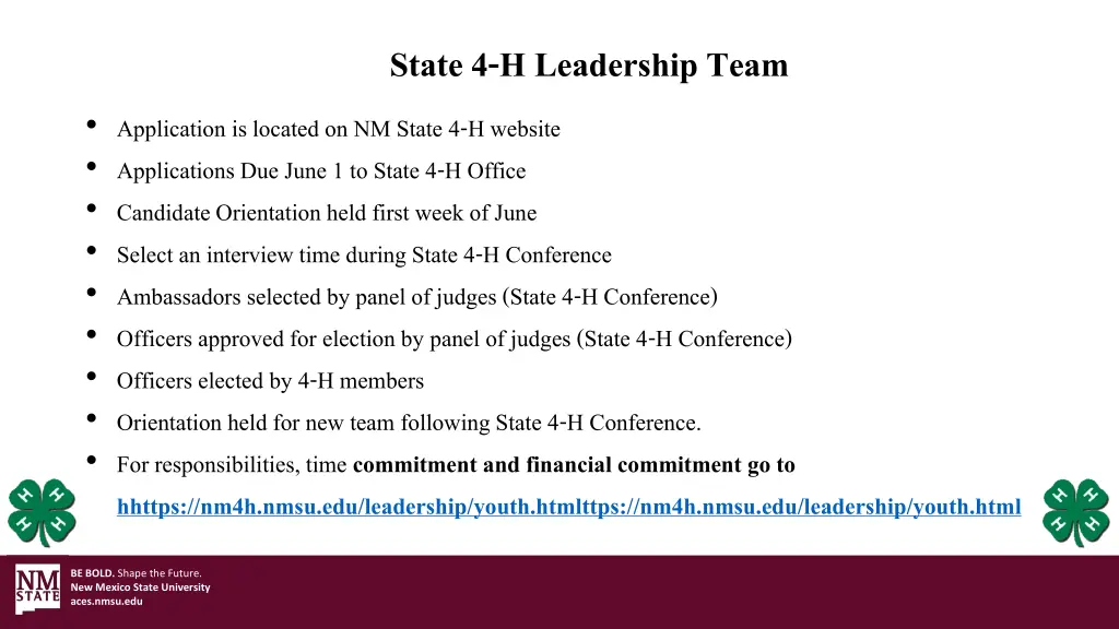 state 4 h leadership team 1