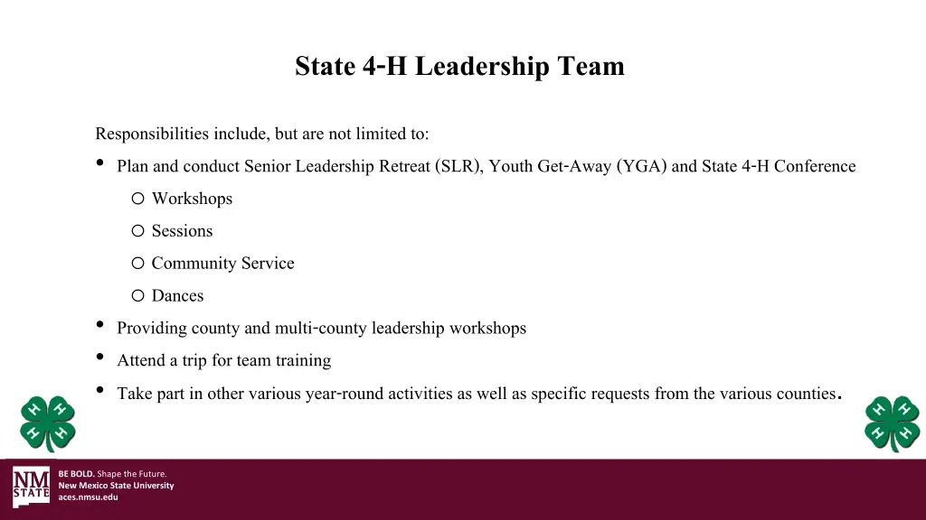 state 4 h leadership team