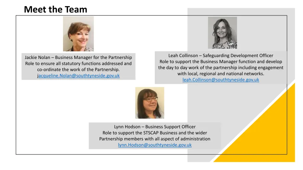 meet the team