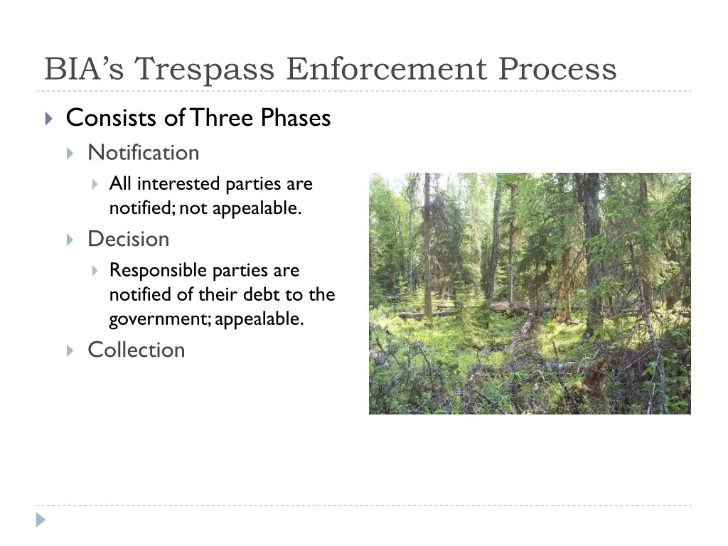 bia s trespass enforcement process