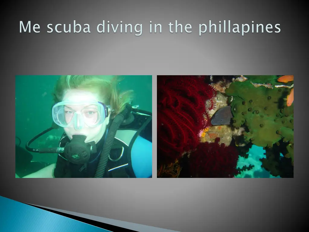 slide7