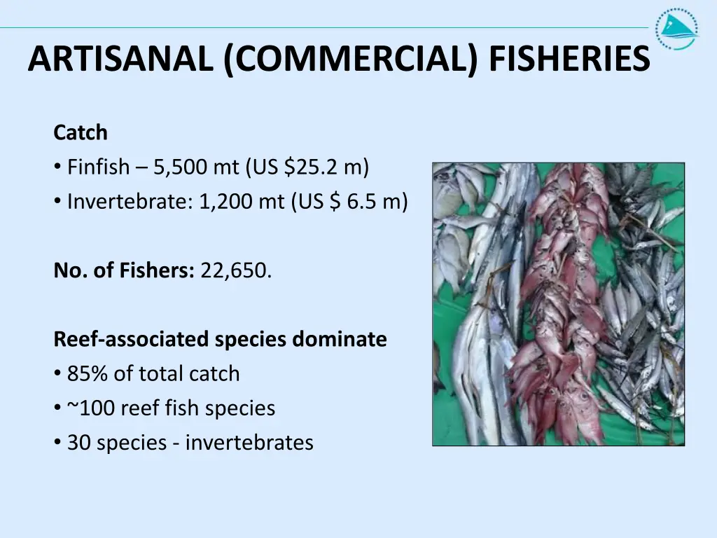 artisanal commercial fisheries