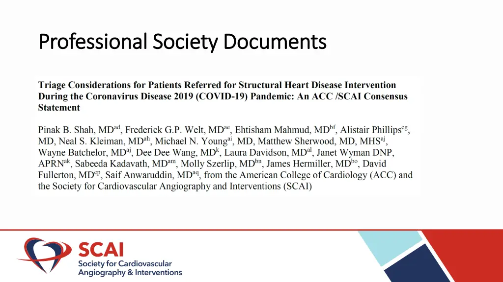 professional society documents professional
