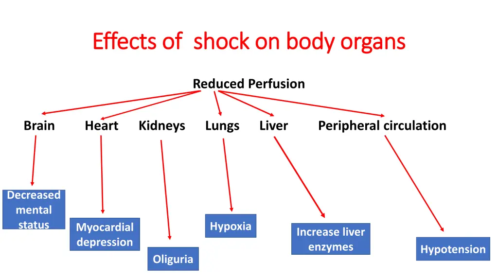 effects of shock on body organs effects of shock