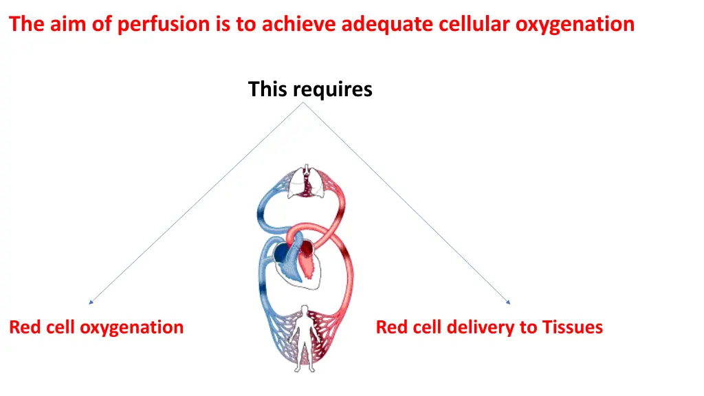 the aim of perfusion is to achieve adequate