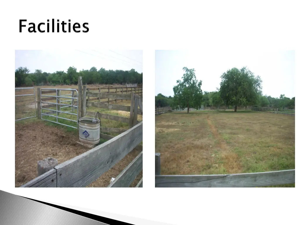 slide5