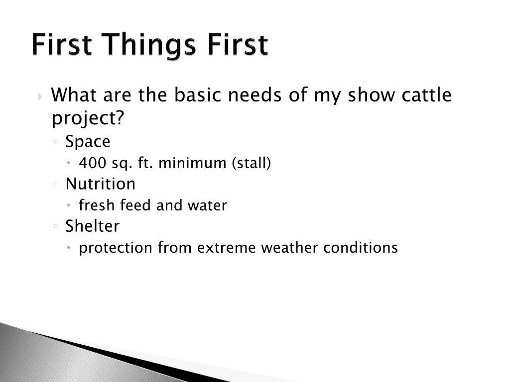 what are the basic needs of my show cattle