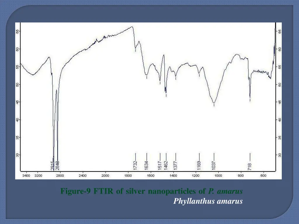 figure 9 ftir of silver nanoparticles of p amarus