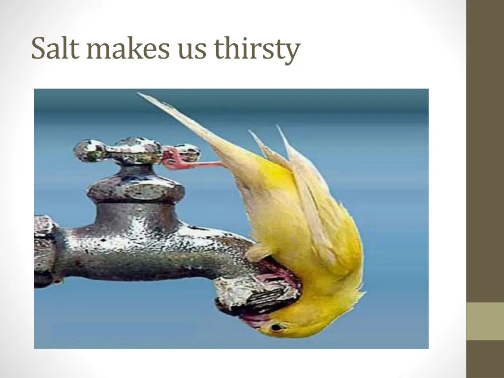 salt makes us thirsty