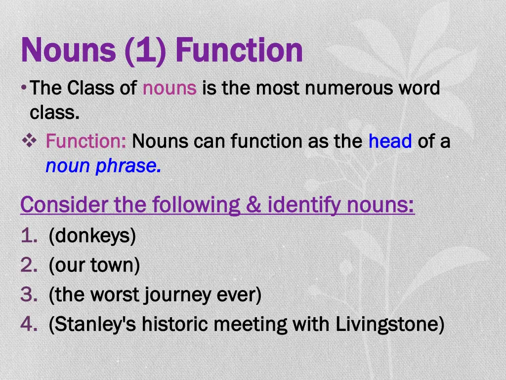 nouns 1 function nouns 1 function the class