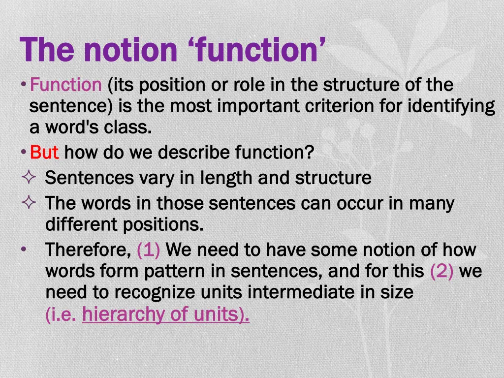the notion function the notion function function