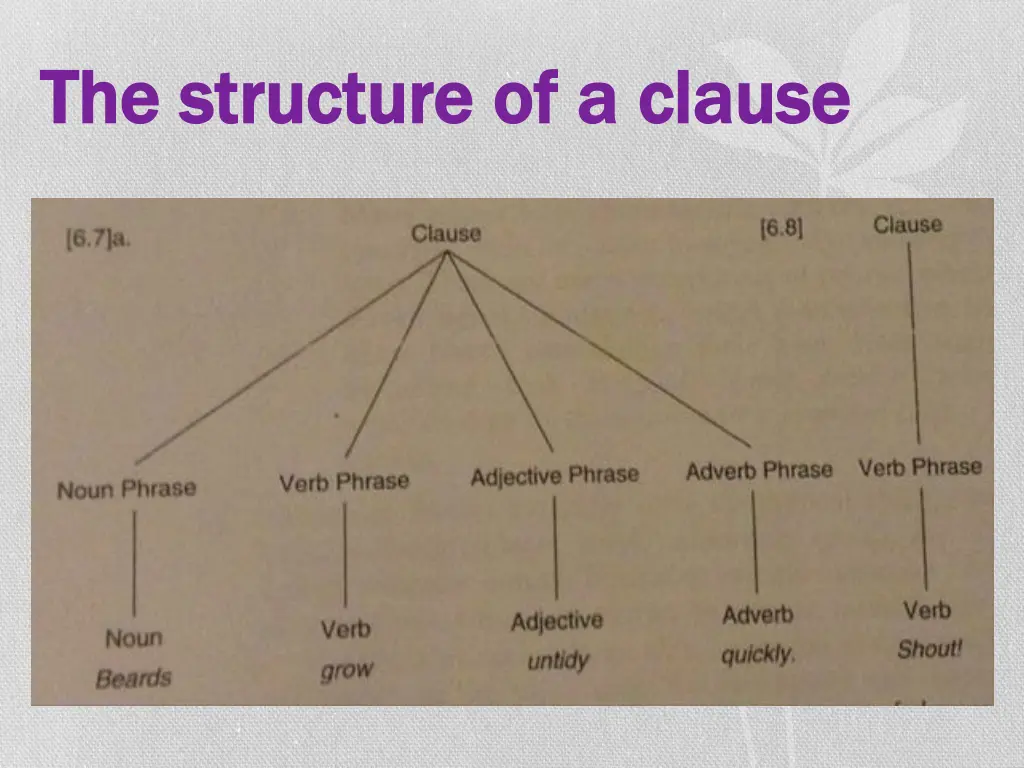 the structure of a clause the structure