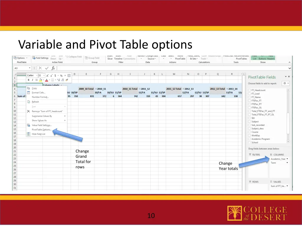 variable and pivot table options 1