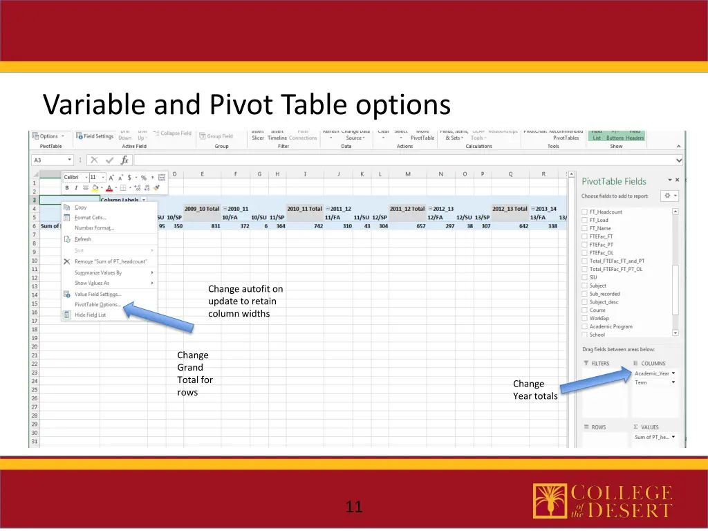 variable and pivot table options 2