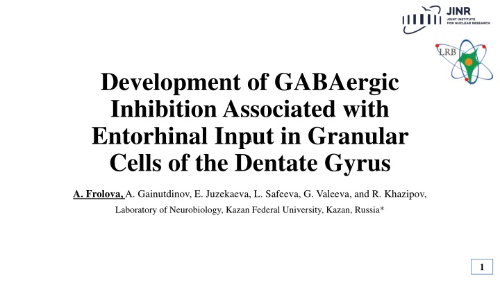 development of gabaergic inhibition associated