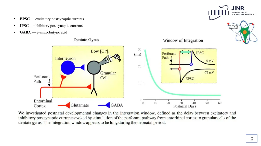 epsc excitatory postsynaptic currents