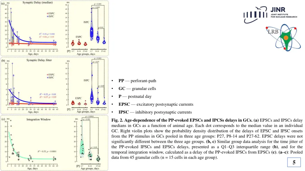 pp perforant path 1