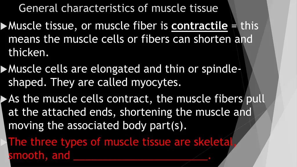 general characteristics of muscle tissue